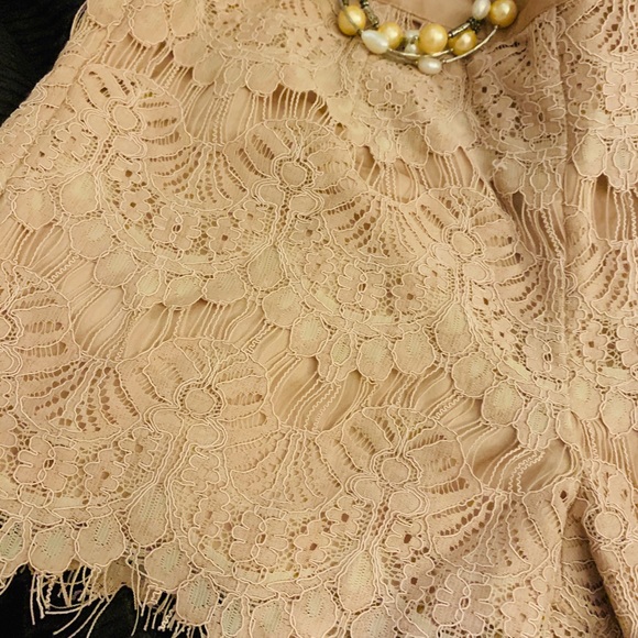 NWT⭐️Beautiful Lace blush shorts - Picture 4 of 5